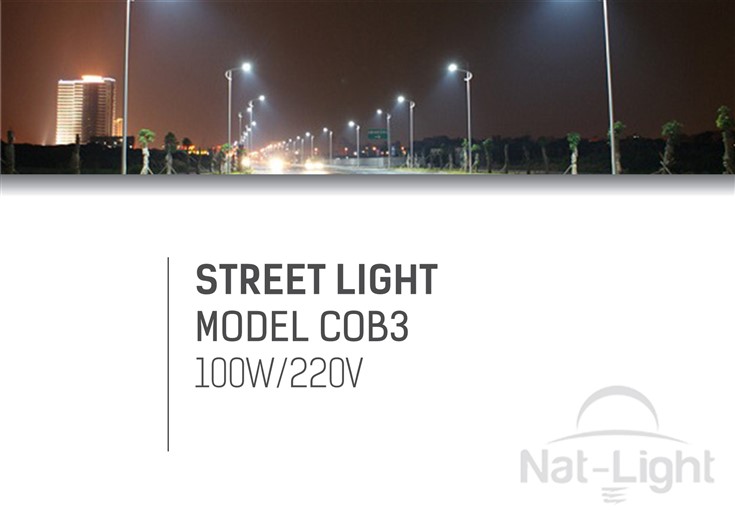 Street-Light-Model-Cob3-100w